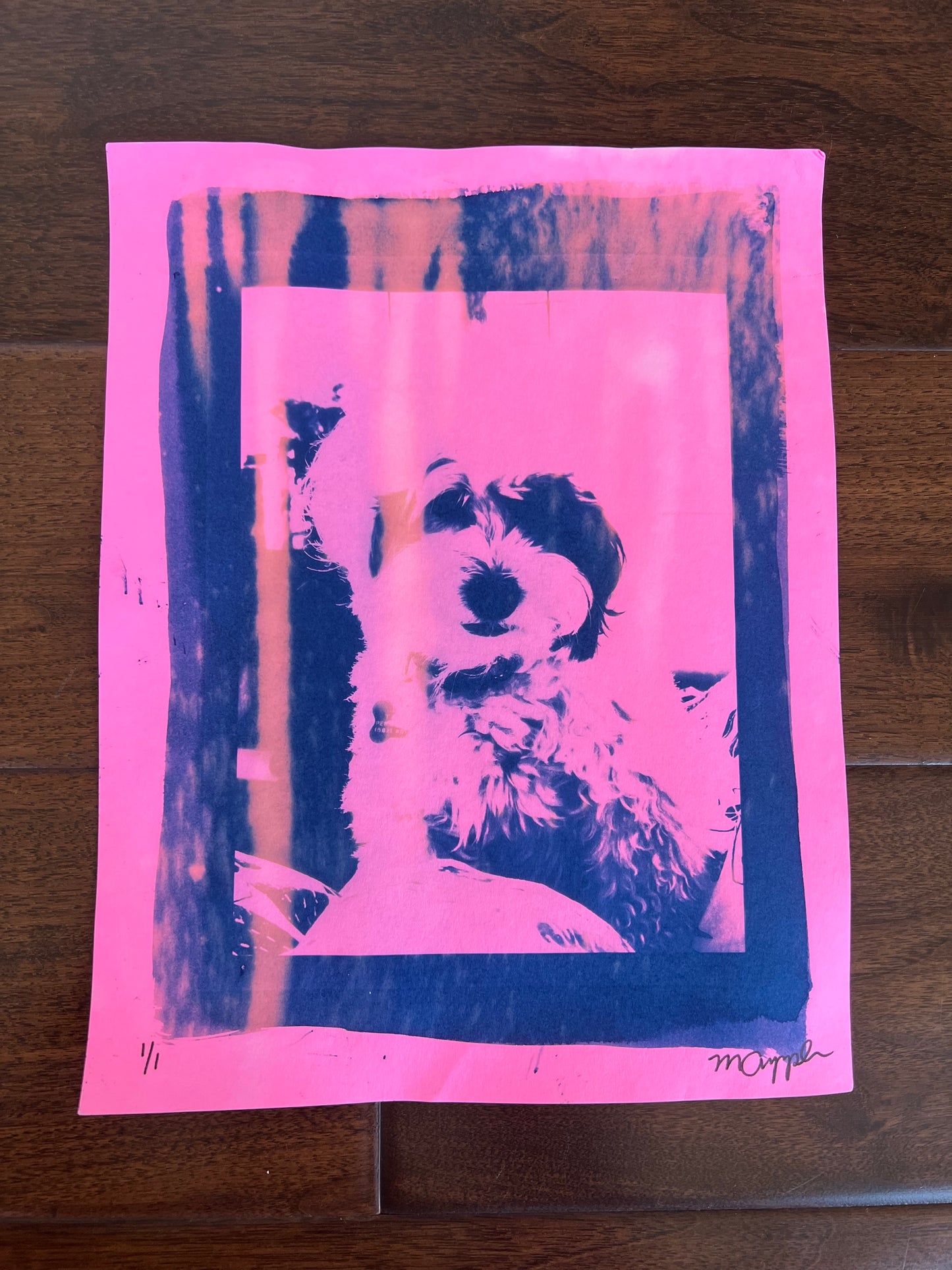 'Pete' Cyanotype Print