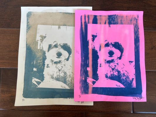 'Pete' Cyanotype Print