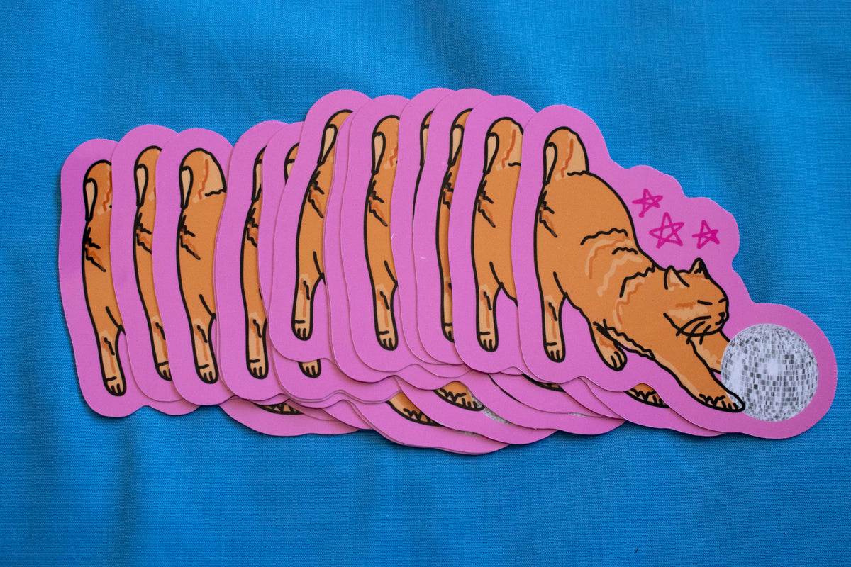 Disco Cat Vinyl Sticker